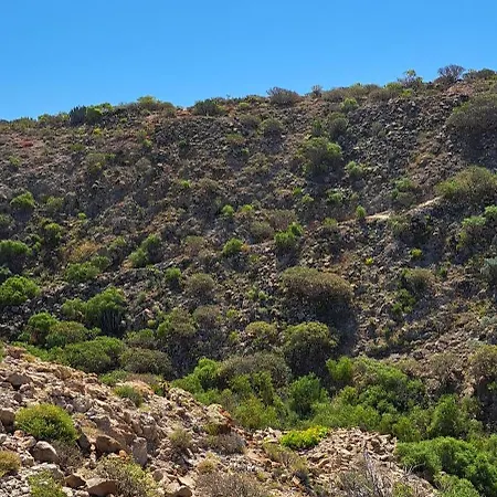 Appartement Casa Sophia