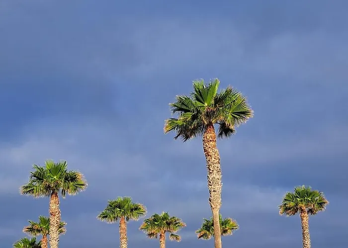 Casa Sophia * 팔름-마르