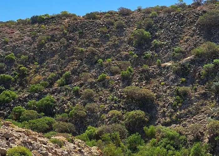 Lejlighed Casa Sophia