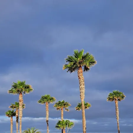 Casa Sophia * Palm-mar