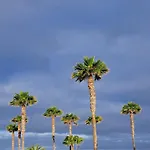 Casa Sophia * Palm-mar