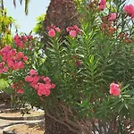 Daire Casa Sophia Palm-mar
