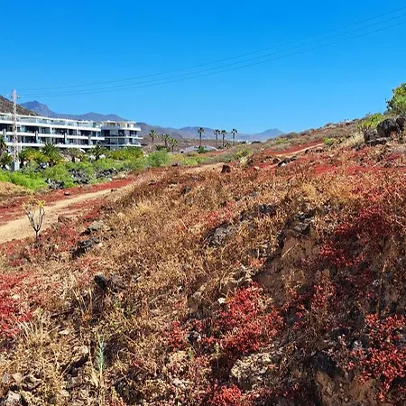 Casa Sophia アパート *